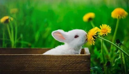 开云下载-中国女足接连爆出好消息 实力雄厚令人瞩目，中国女足近期