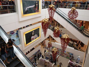 开云体育在线赛事直播-迈向未来：Chinese Taipei团队在国际赛场的崭新发展，chinese of taipei